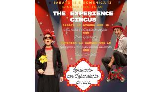 The experience circus